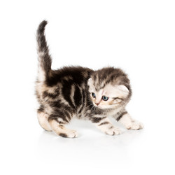 Similar image 5592398