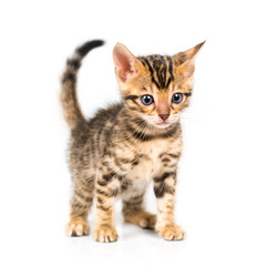 Similar image 5592423