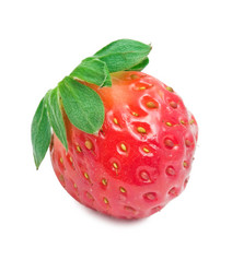 Similar image 5592432