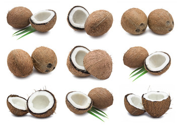 Similar image 5592442