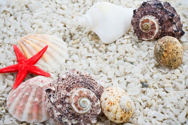 Similar image 5592443