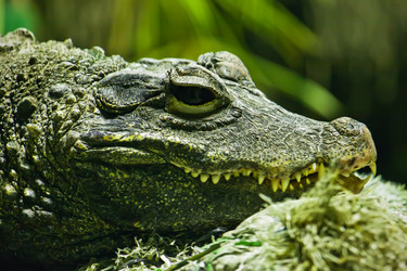 Similar image 5592448