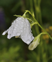 Similar image 5592511