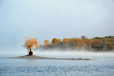 Similar image 5592529