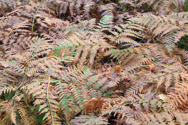 Similar image 5592551