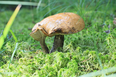 Similar image 5592554