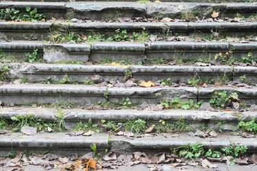 Similar image 5592556