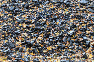 Similar image 5592559