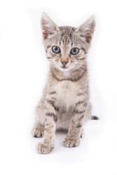 Similar image 5592563