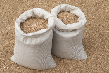 Similar image 5592566