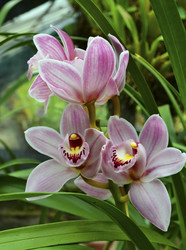 Similar image 5592568