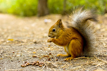 Similar image 5592587