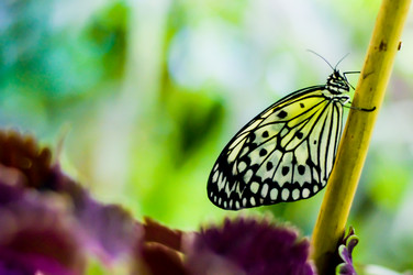 Similar image 5592588