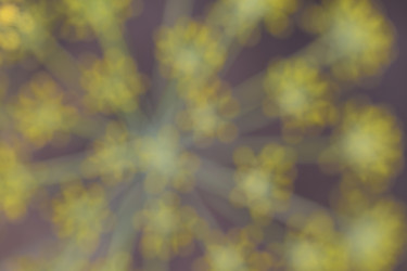 Similar image 5592595