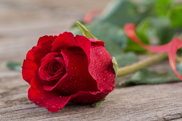 Similar image 5592626