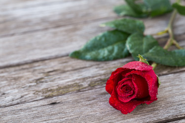 Similar image 5592627