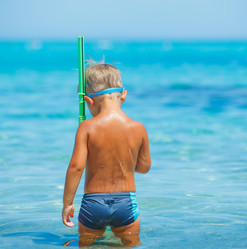 Similar image 5592659