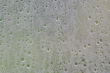 Similar image 5592749