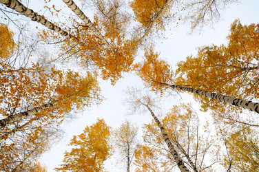 Similar image 5592752