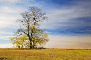 Similar image 5592753