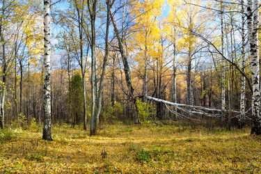 Similar image 5592754