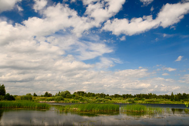 Similar image 5592760