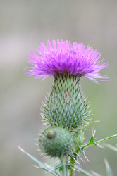 Similar image 5592763