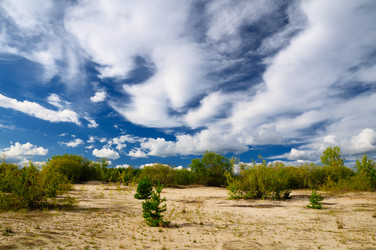 Similar image 5592765