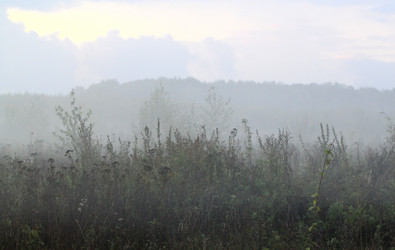 Similar image 5592829