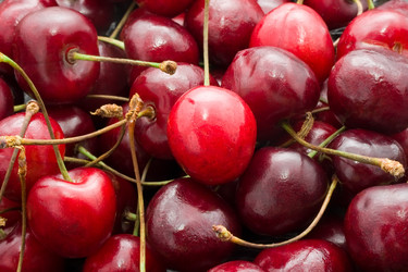 Similar image 5592893