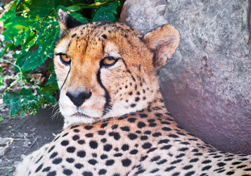 Similar image 5592898