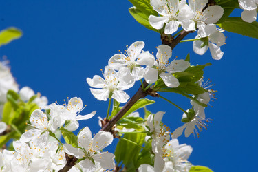 Similar image 5592905