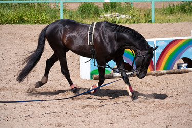 Similar image 5592912