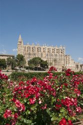 Similar image 5593003