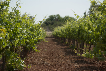 Similar image 5593004