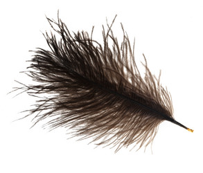 Similar image 5593042