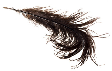 Similar image 5593063