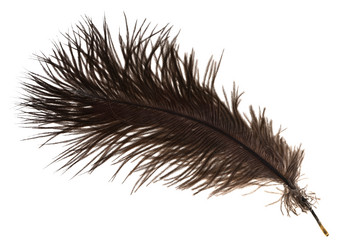 Similar image 5593067