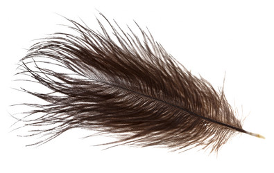 Similar image 5593068