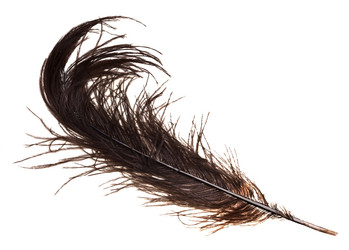 Similar image 5593075