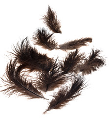 Similar image 5593080