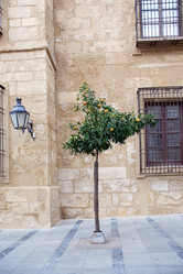 Similar image 5593907