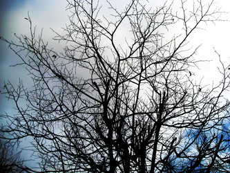 Similar image 5594146