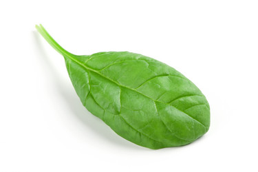 Similar image 5594296