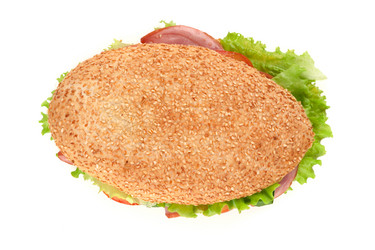 Similar image 5594355