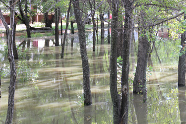 Similar image 5594702