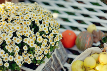 Similar image 5594717