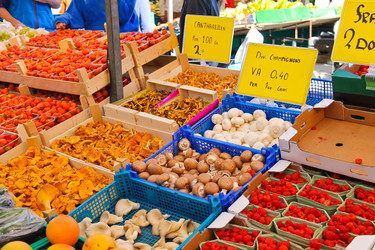 Similar image 5594785