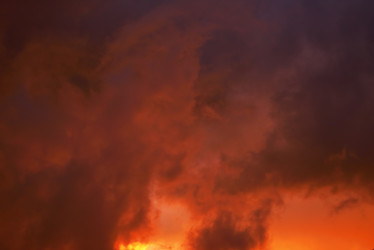 Similar image 5594820