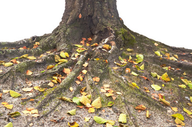 Similar image 5594821